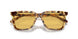 504585 - Tortoise - Amber Solid