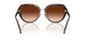 512074 - Tortoise - Brown Gradient