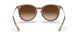 101413 - Brown - Brown Gradient