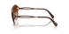 400274 - Brown - Brown Gradient