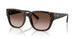 202213 - Tortoise - Brown Gradient