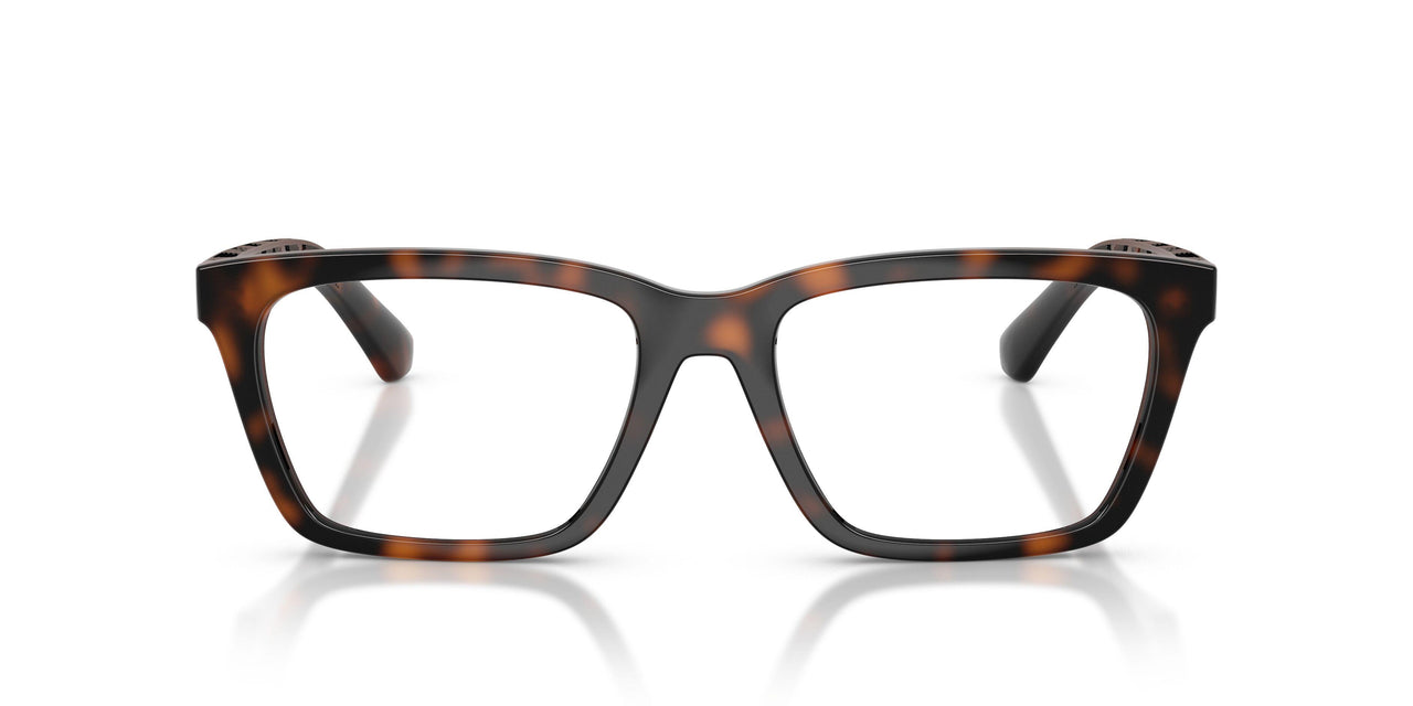 3002 - Brown