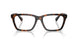 3002 - Brown