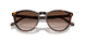 W65613 - Brown - Gradient Brown