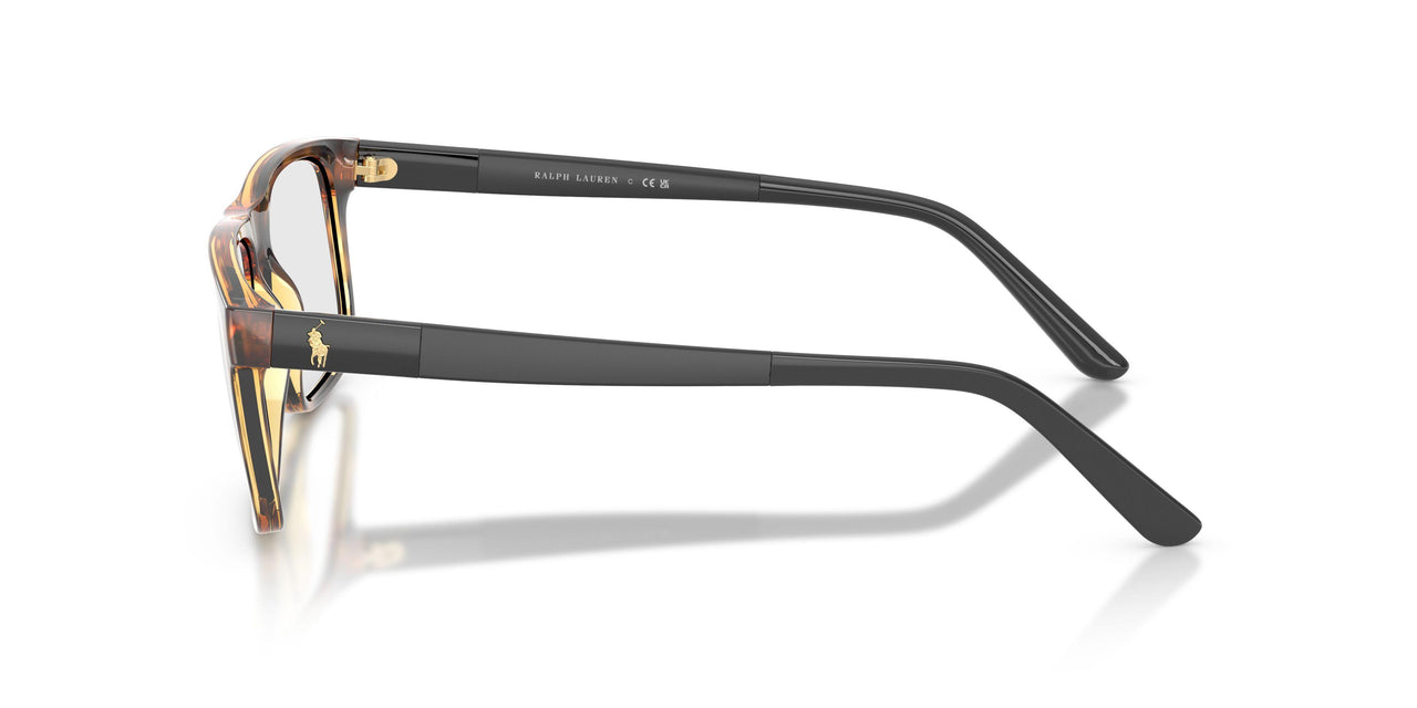 5003 - Dark Havana