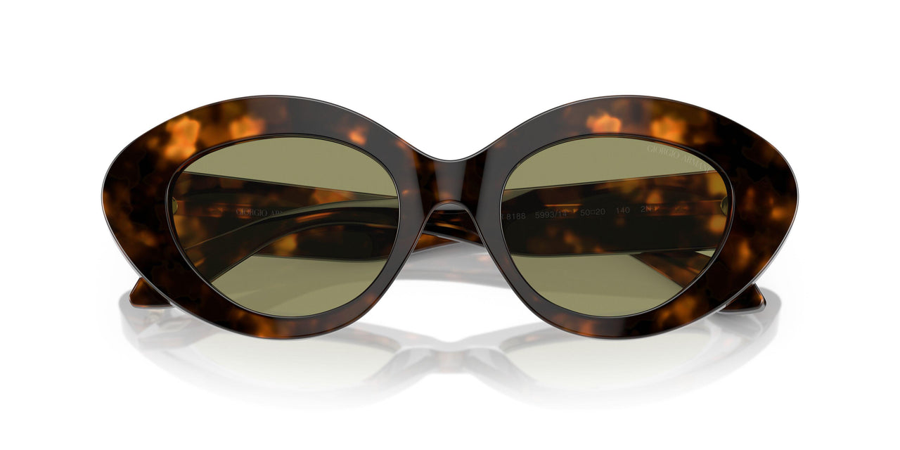599314 - Tortoise - Green