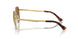 114233 - Gold - Brown