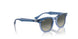 715911 - Brown - Grey & Blue