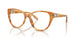 6051 - Tortoise