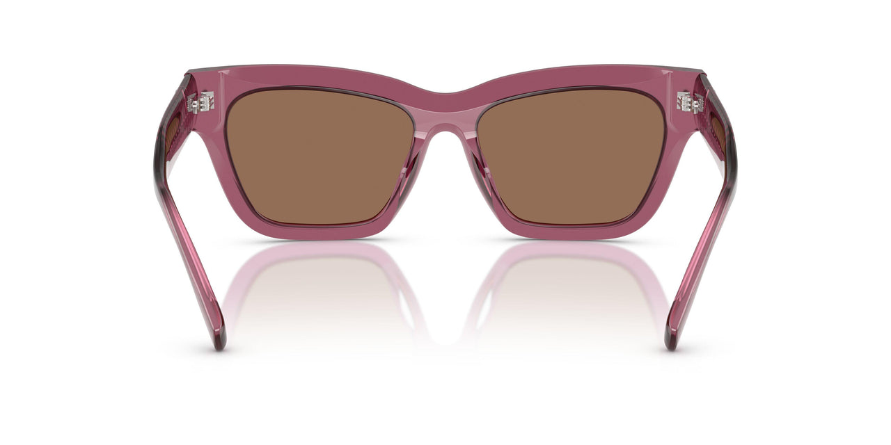 317973 - Pink - Dark Brown