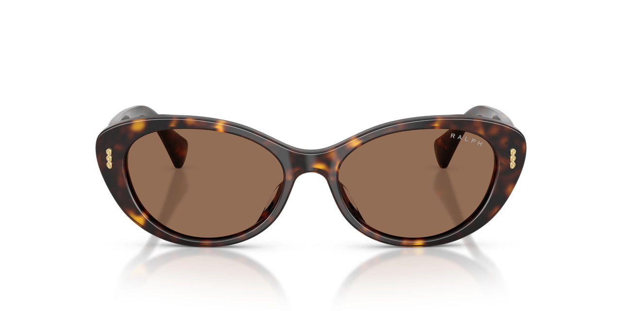 500373 - Brown - Brown