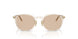 300393 - Clear - Solid Light Brown