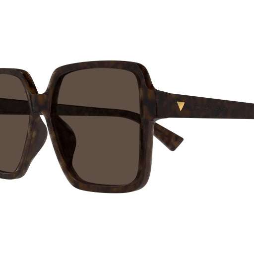 002 - Havana - Brown