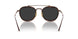 801648 - Brown - Polar Black + Ar