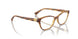 1508 - Brown