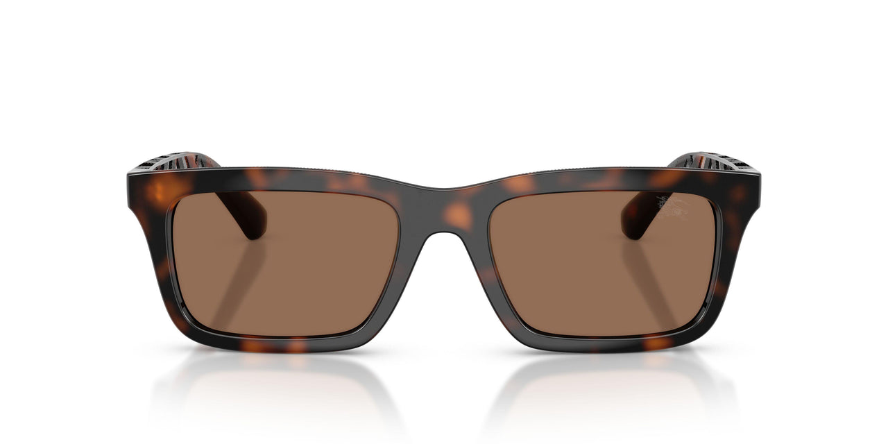 300273 - Brown - Dark Brown