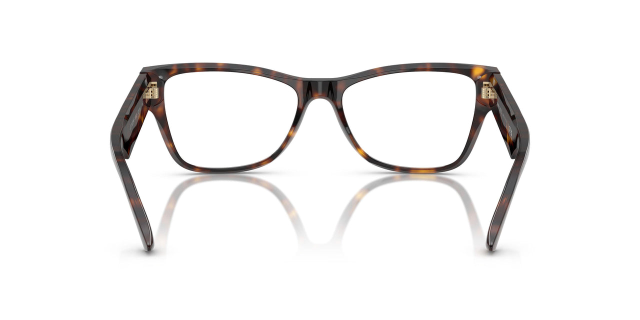 5002 - Tortoise