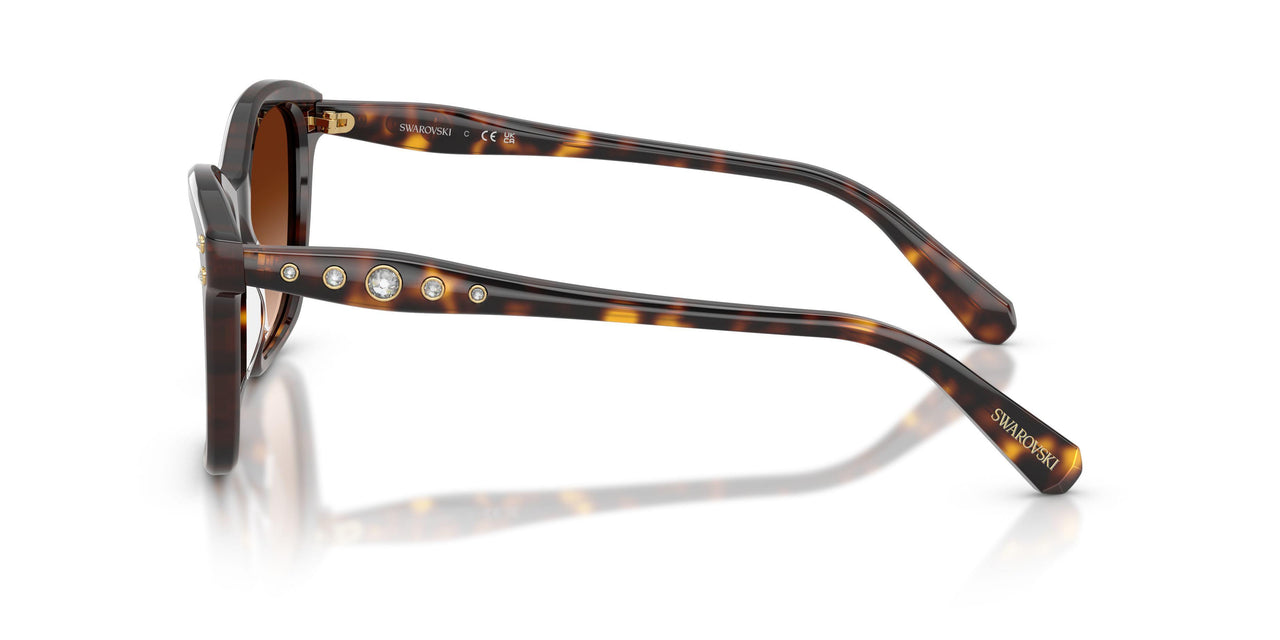 100274 - Tortoise - Gradient Brown