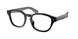 Polo 2261U Eyeglasses