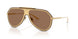 02/73 - Gold - Dark Brown