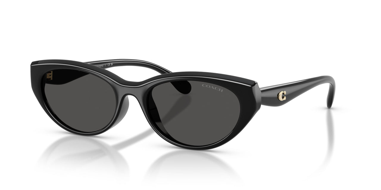 Coach Cdp42 8456D Sunglasses