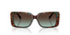 84425D - Tortoise - Azure Gradient Brown