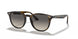 710/11 - Havana - Grey Gradient Dark Grey