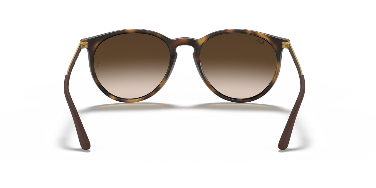 856/13 - Havana - Gradient Brown