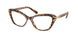 Swarovski 2031 Eyeglasses