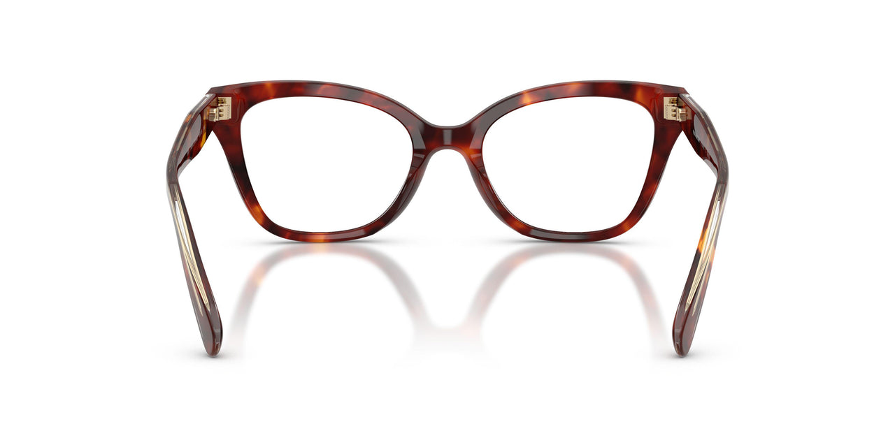 5938 - Tortoise