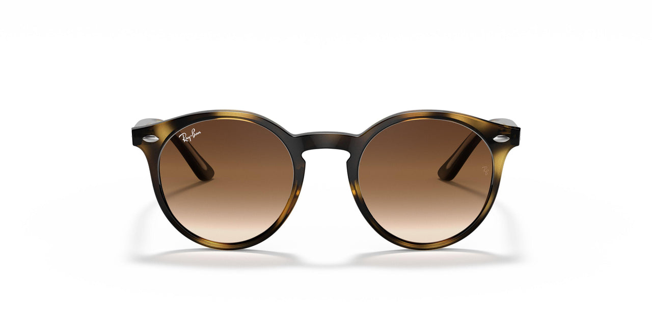 152/13 - Havana - Brown Gradient