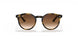 152/13 - Havana - Brown Gradient