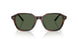 63159A - Tortoise - Polar Green
