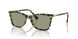 1009/2 - Tortoise - Dark Green