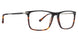 Argyleculture ARBOONE Eyeglasses