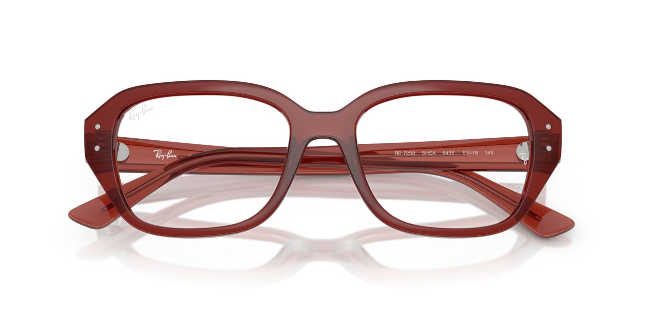 8436 - Brown - Clear