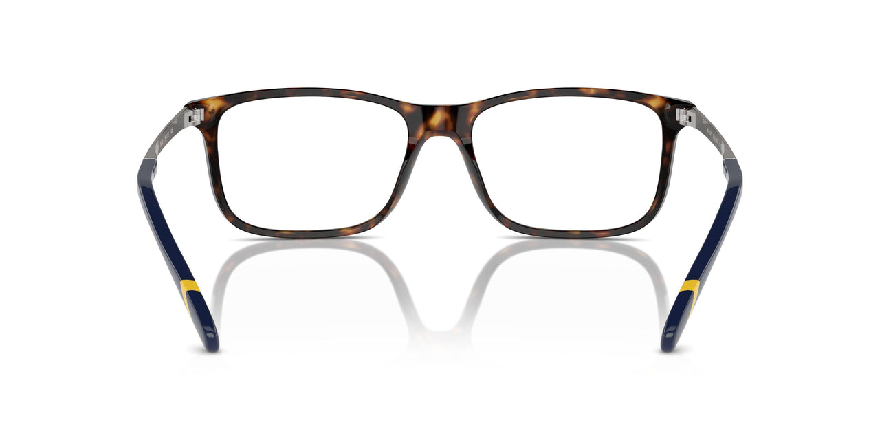 5003 - Tortoise