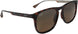 10 - Shiny Dark Havana With Trans Yellow - Hcl Bronze