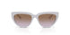 319368 - Violet - Violet Gradient Brown