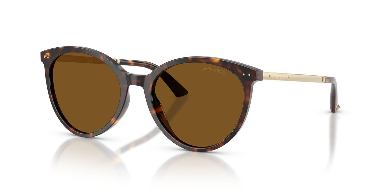500283 - Tortoise - Dark Brown Polar