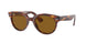 Ray-Ban Orion 2199F Sunglasses