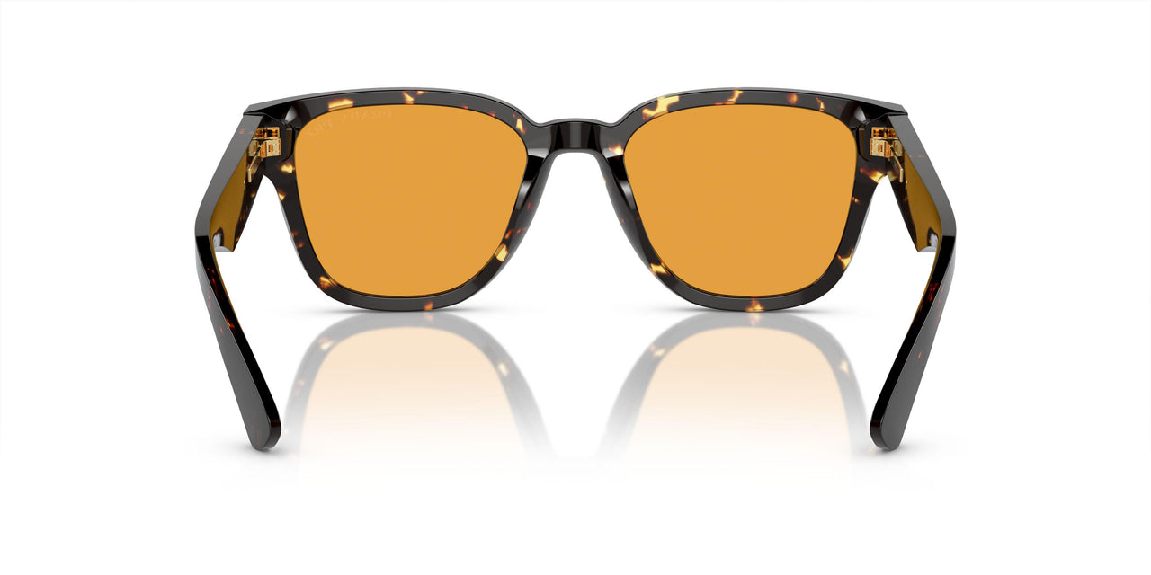 16O20C - Brown - Yellow Polar