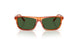 348371 - Brown - Dark Green