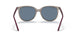 65722V - Grey - Dark Blue Polar