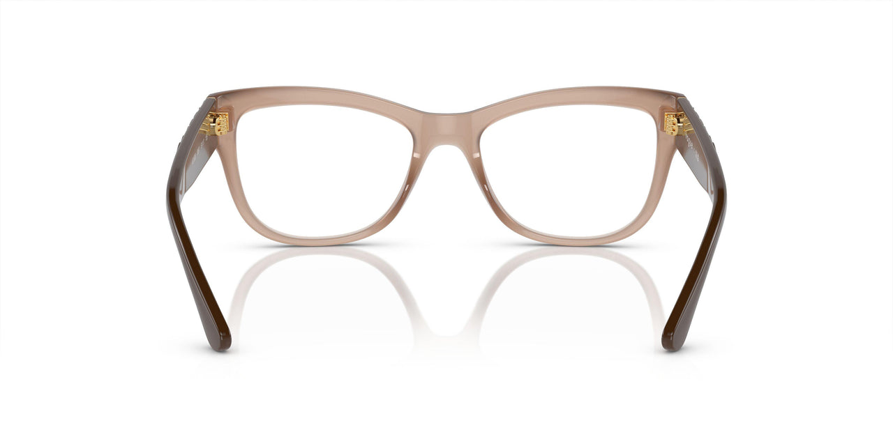 3097 - Brown