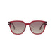 66U - Shiny Transparent Bordeaux - Bordeaux