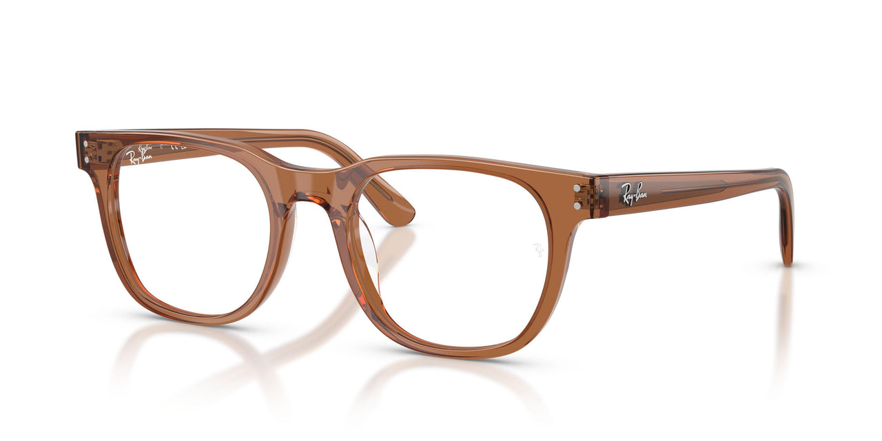 8201 - Brown - Demo Bio