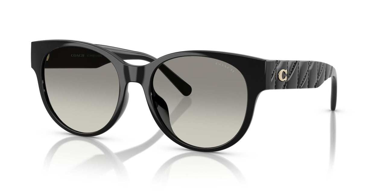 50023C - Black - Grey Gradient