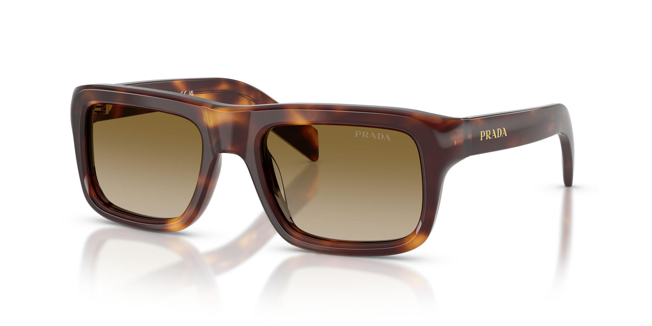 15W20U - Tortoise - Brown Gradient