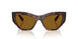 271883 - Brown - Dark Brown Polar